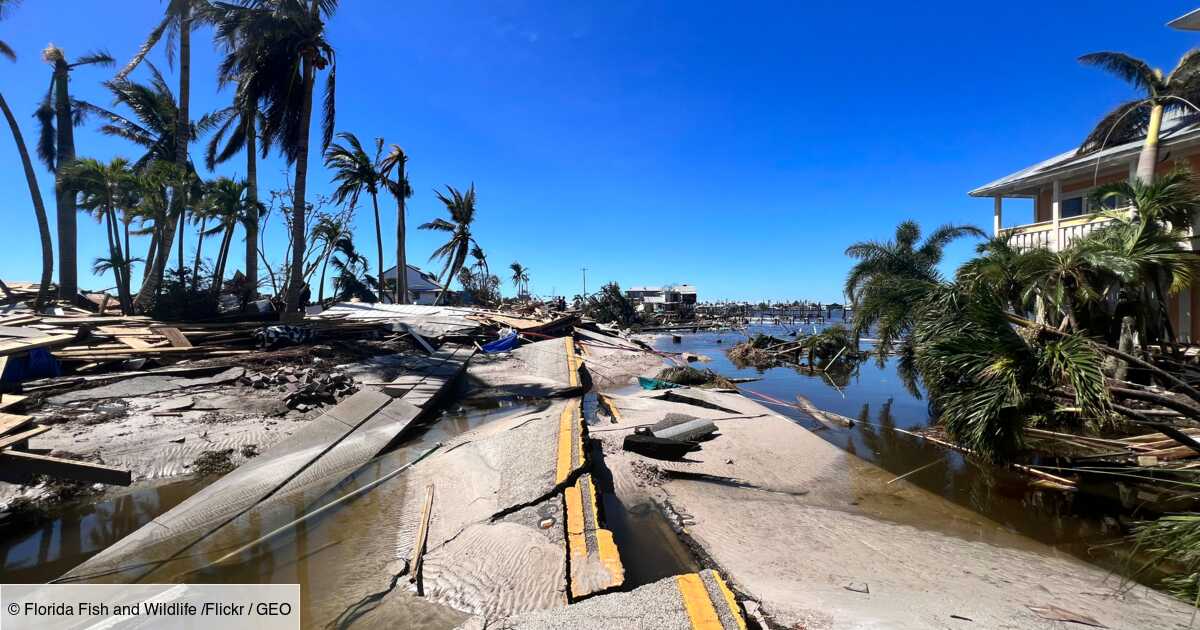 Quelles Ont été Les 10 Catastrophes Naturelles Les Plus Coûteuses En