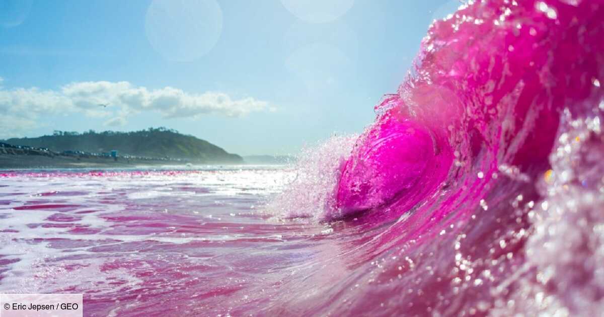 Pourquoi l’eau de l’océan est-elle devenue rose fluo à San Diego ?