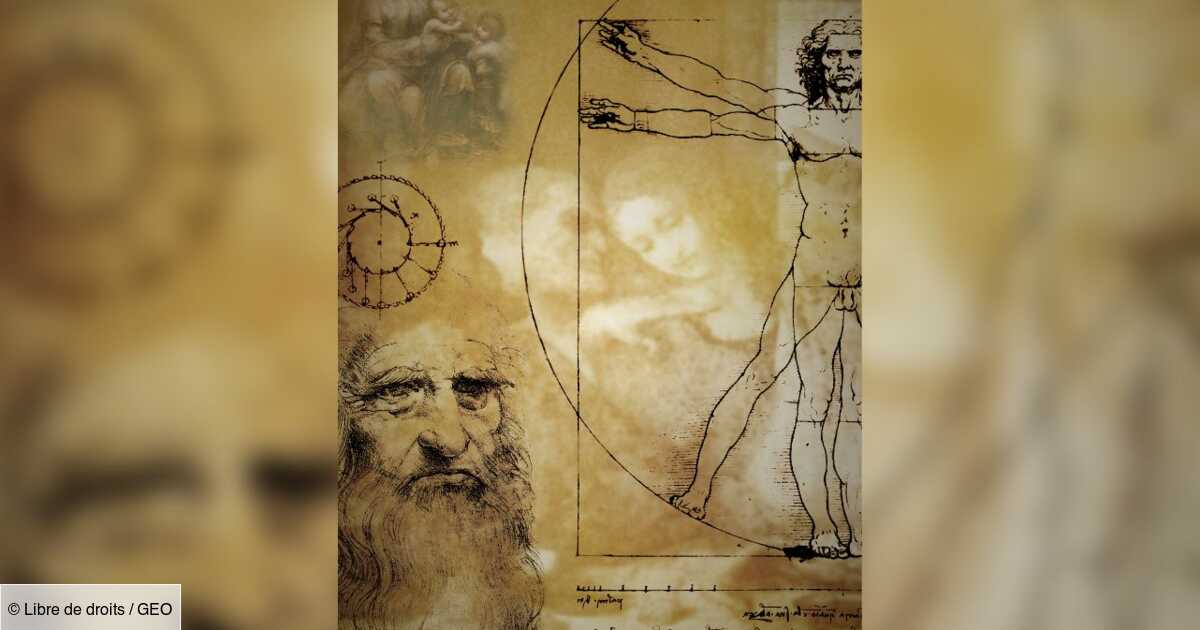 Leonardo da Vinci, mezzo italiano e figlio di una schiava?  Così dice un analista