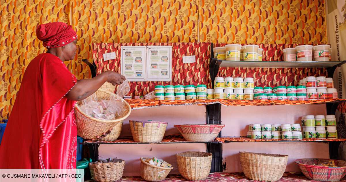 La transformation du karité, un espoir pour les femmes au Mali