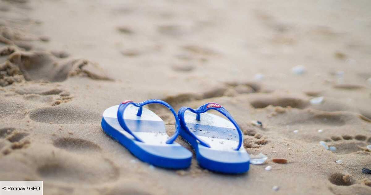 Photo of World Uses: In Australia, how the flip-flop became an essential accessory