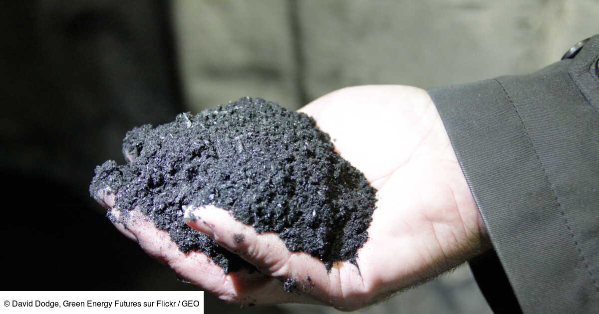 Qu'estceque le biochar, nouvelle star des investisseurs pour l