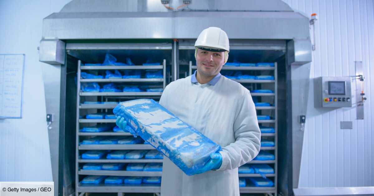 En quoi consiste le métier de frigoriste ?