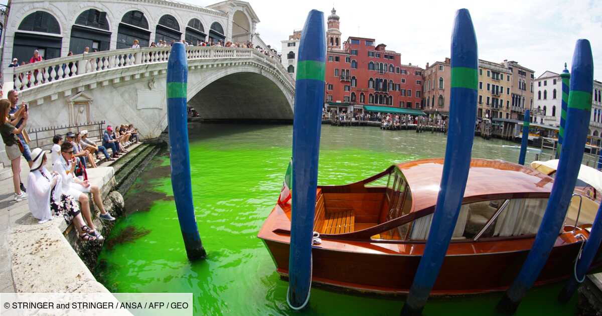 Pourquoi le Grand Canal de Venise a-t-il viré au vert fluo ?
