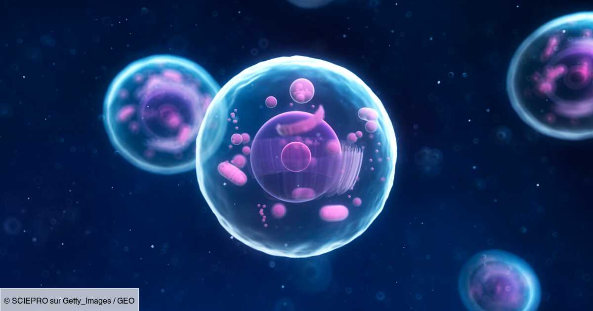 Un "monde perdu" : des scientifiques découvrent la trace de nos ancêtres qui ont vécu il y a 1,64 milliard d'années