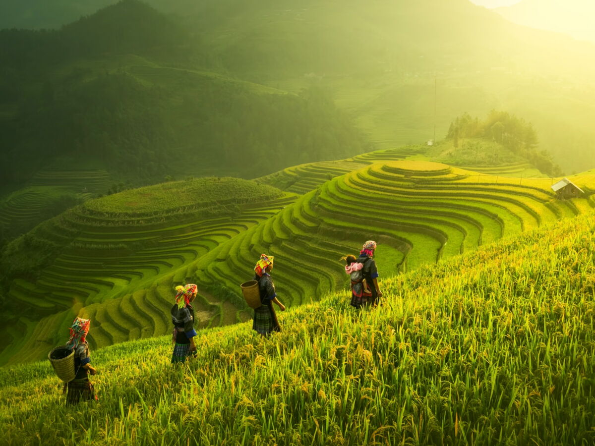 Que faire au Vietnam ? 5 idées de sorties et d'activités incontournables à faire au Vietnam