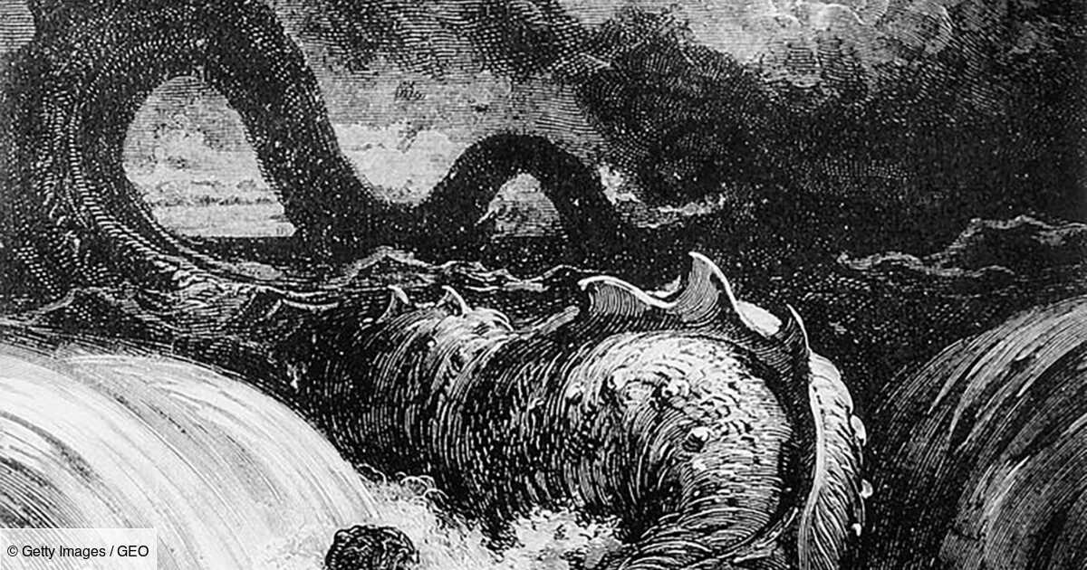 Qu'est-ce que le léviathan ? - Geo.fr