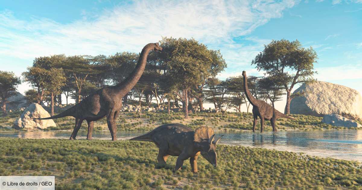 Los antepasados ​​humanos (muy, muy) distantes pueden haber coexistido con los dinosaurios.