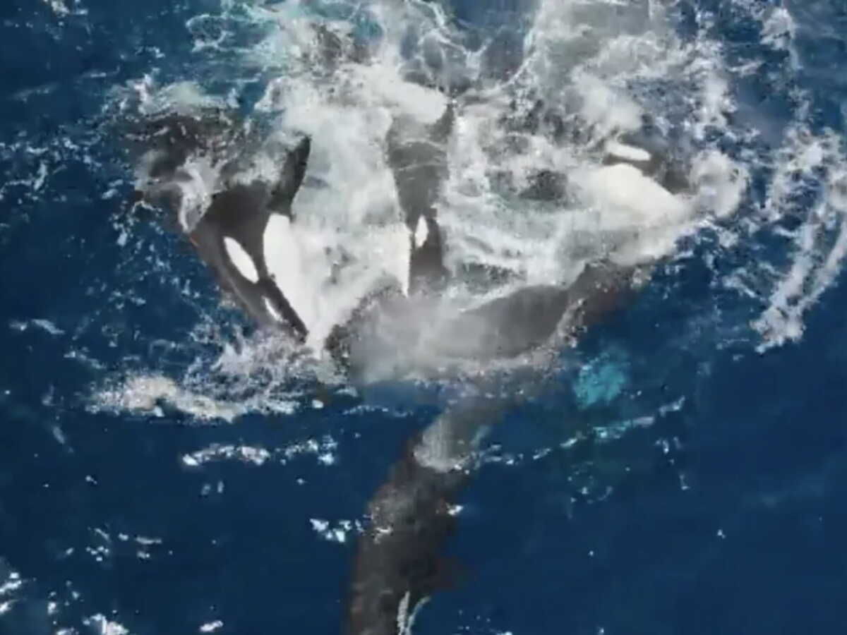 Sorry! Image not available at this time