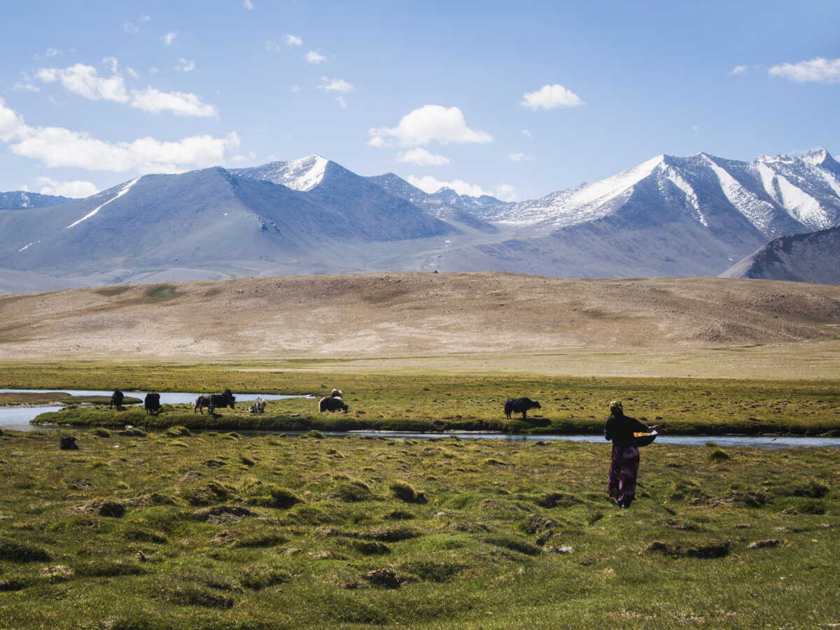 L'unique habitant des gorges de Sioma, au Tadjikistan, raconte l'impact du changement climatique sur cet écosystème exceptionnel