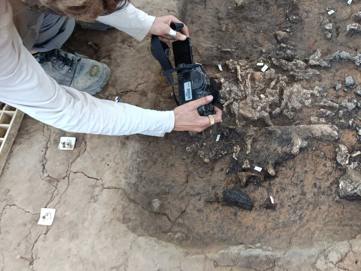 La tombe-bûcher d'un adolescent ayant vécu il y a plus de 2000 ans découverte en Dordogne