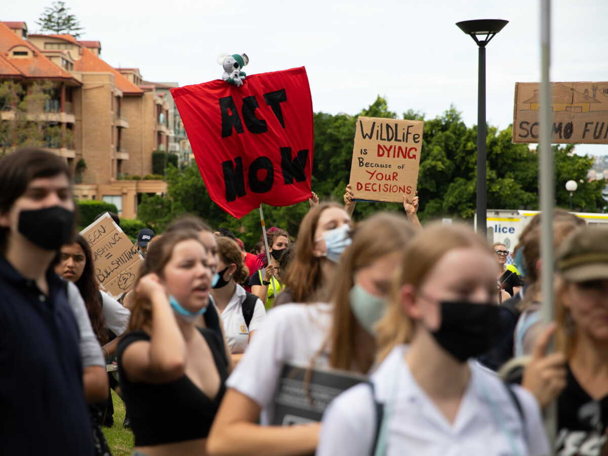 Sorry! Image not available at this time