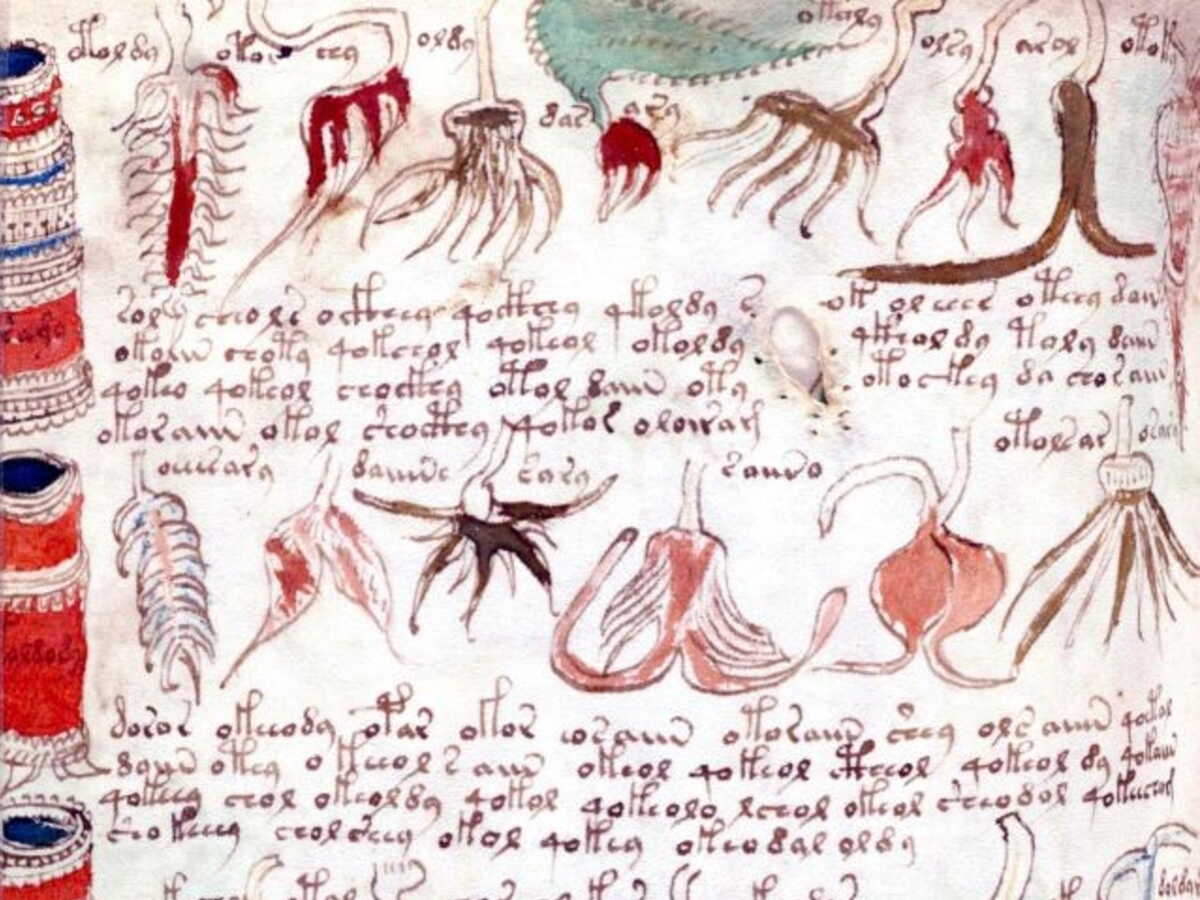 Six siècles après la rédaction du manuscrit de Voynich, une nouvelle piste vient éclairer ce code médiéval