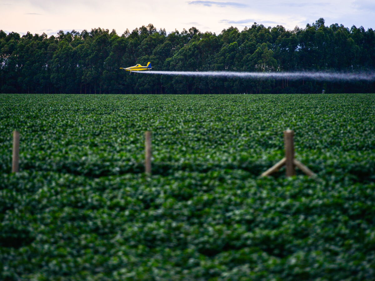 Pesticides: la France suspend les importations contenant des substances interdites dans l'UE, Bruxelles a 10 jours pour réagir