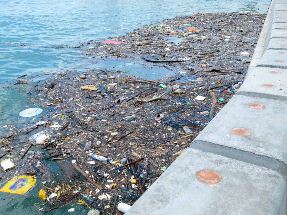 Le Rhin transporterait près de 4000 tonnes de déchets par an
