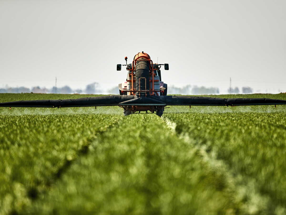 "La santé des populations est en danger", l'alerte de scientifiques face à l'utilisation de bromure de méthyle, un pesticide utilisé en Californie