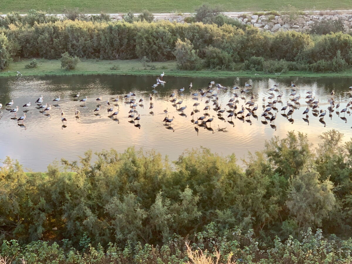 Sorry! Image not available at this time