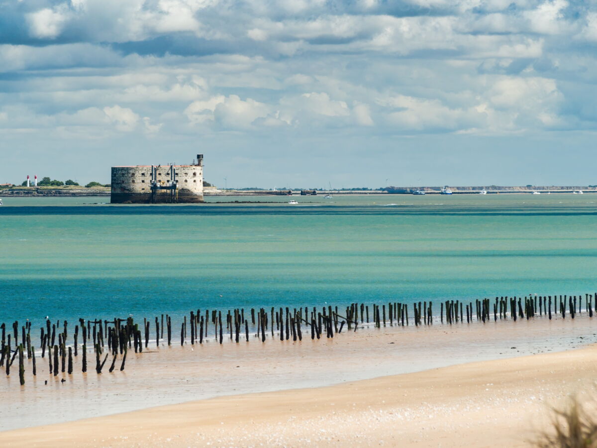 "Il y a une urgence à agir": pour protéger ses côtes de l'érosion, l'île d'Oléron érige un rempart naturel