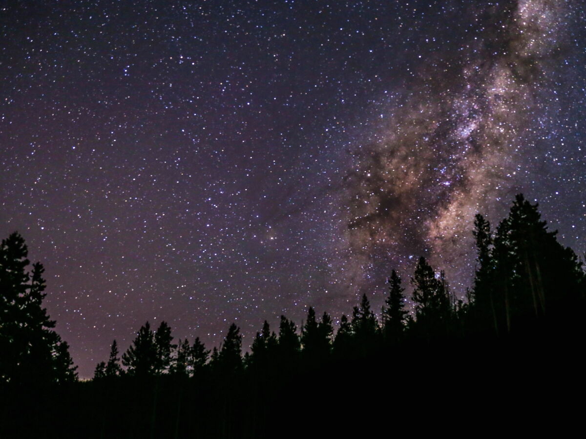 Sorry! Image not available at this time