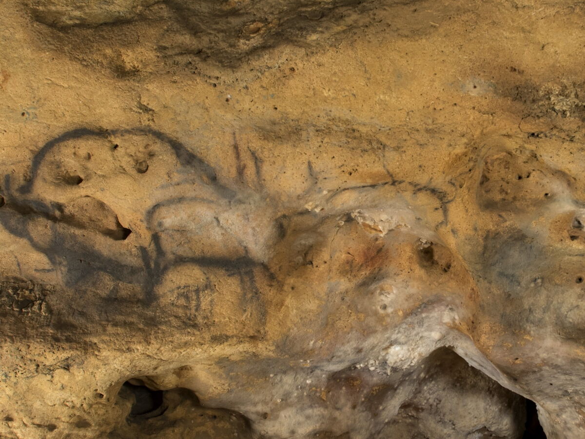 En Dordogne, des peintures préhistoriques ont enfin pu être datées avec précision