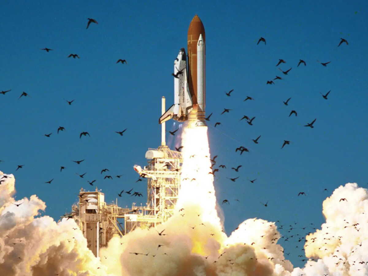 Des plongeurs découvrent par hasard un morceau de la navette Challenger, quarante ans après la tragédie