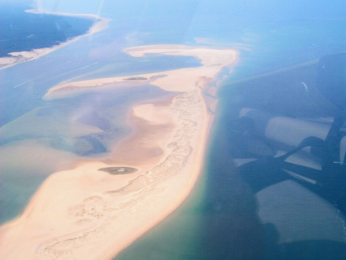 Le banc d’Arguin, ce "Joyau" menacé du bassin d'Arcachon