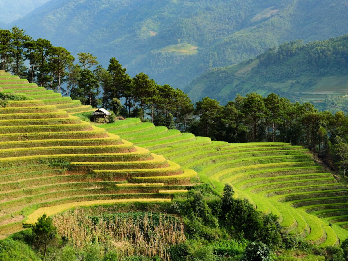 Quand partir au Vietnam ? Période, météo, affluence, prix