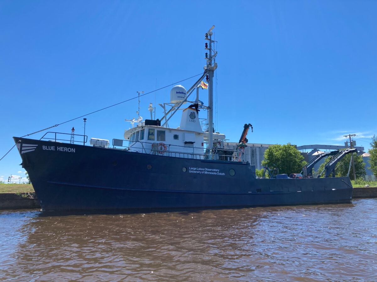 Une matière noire et visqueuse trouvée sur un bateau s’avère contenir une nouvelle espèce vivante