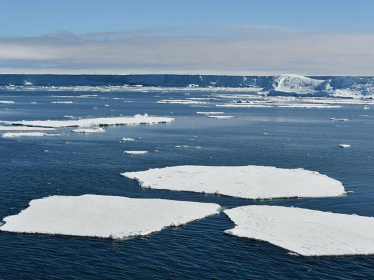 Aux portes de l'Antarctique, une menace silencieuse gagne du terrain dans les eaux profondes