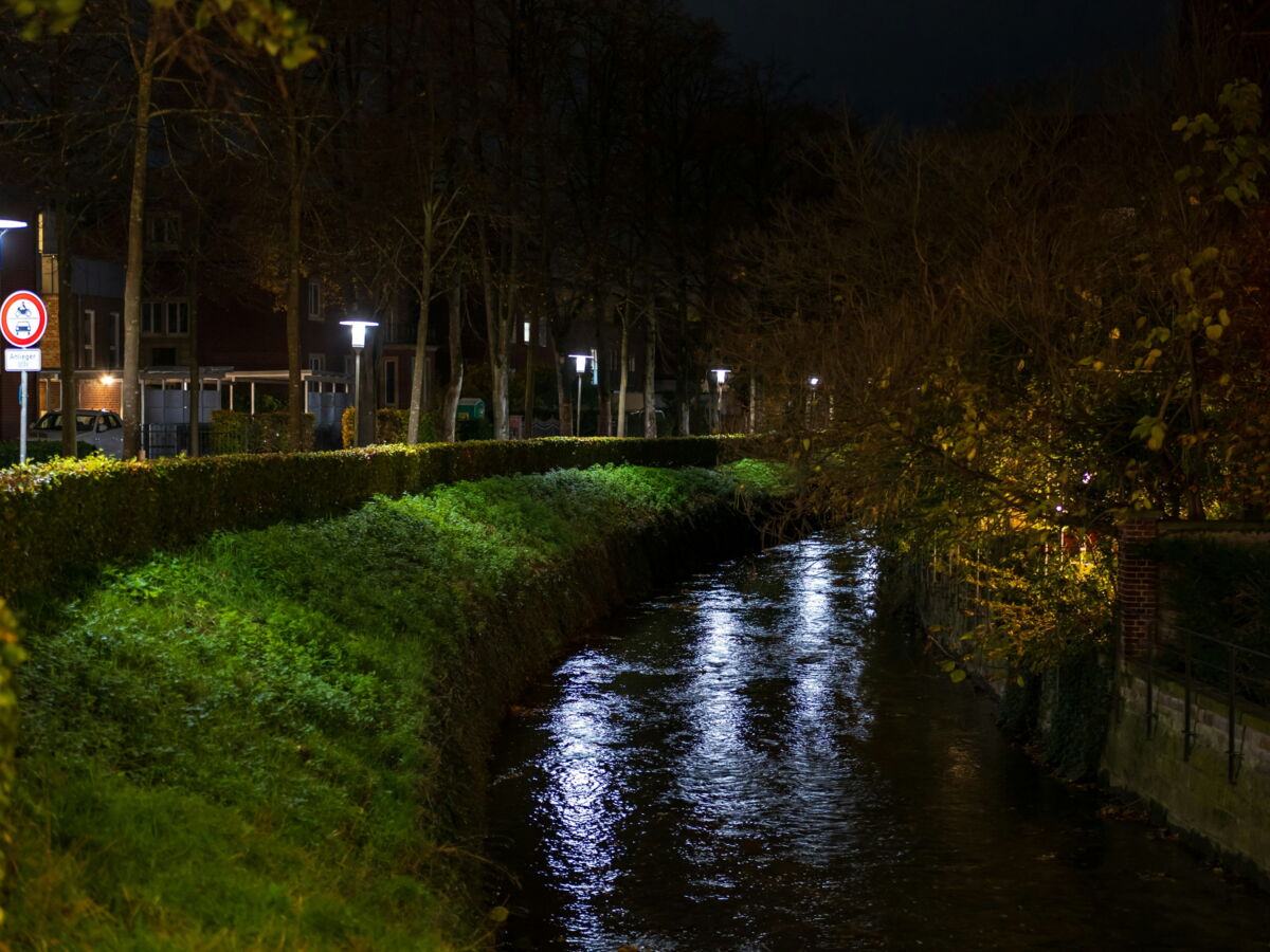 Pollution lumineuse: quelles conséquences sur l'écosystème des cours d'eau?