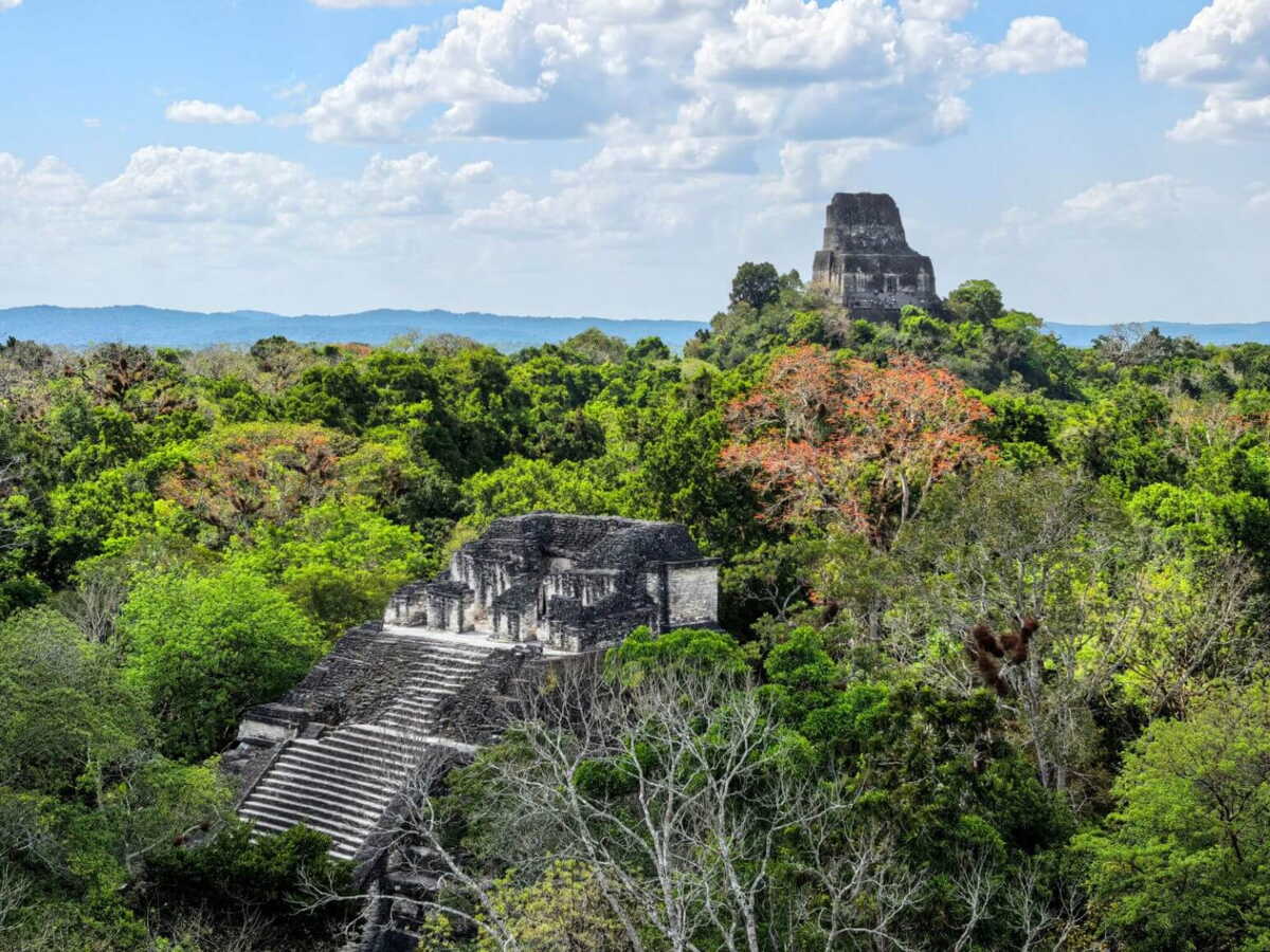Pourquoi les Mayas ont-ils disparu? Ce n'est pas qu'une histoire de sécheresse, selon une étude