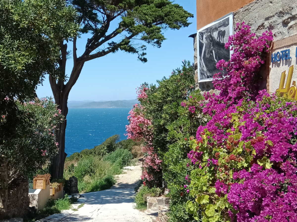 Port-Cros et l’île du Levant, deux visages sauvages des îles d’Hyères
