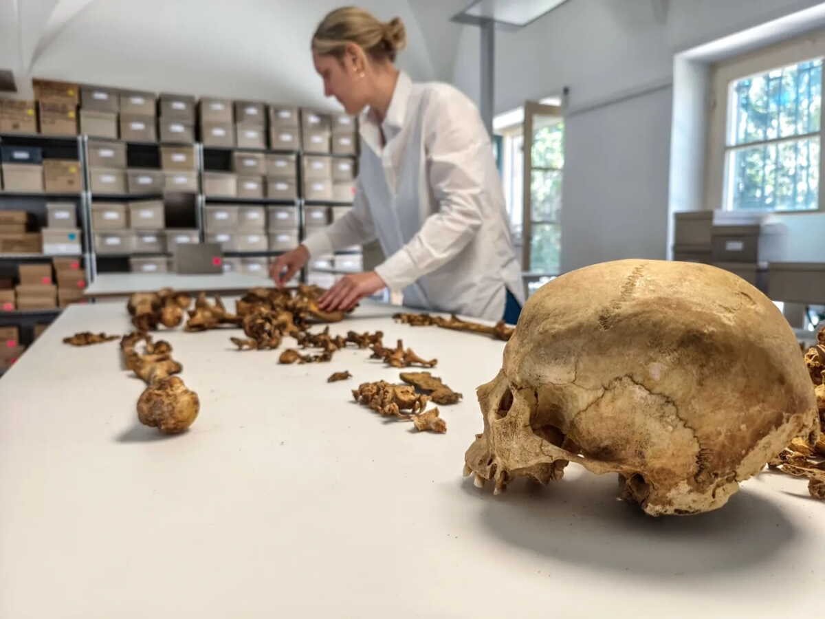 L’ADN de 258 squelettes médiévaux révèle comment l’Europe s’est (vraiment) recomposée après Rome