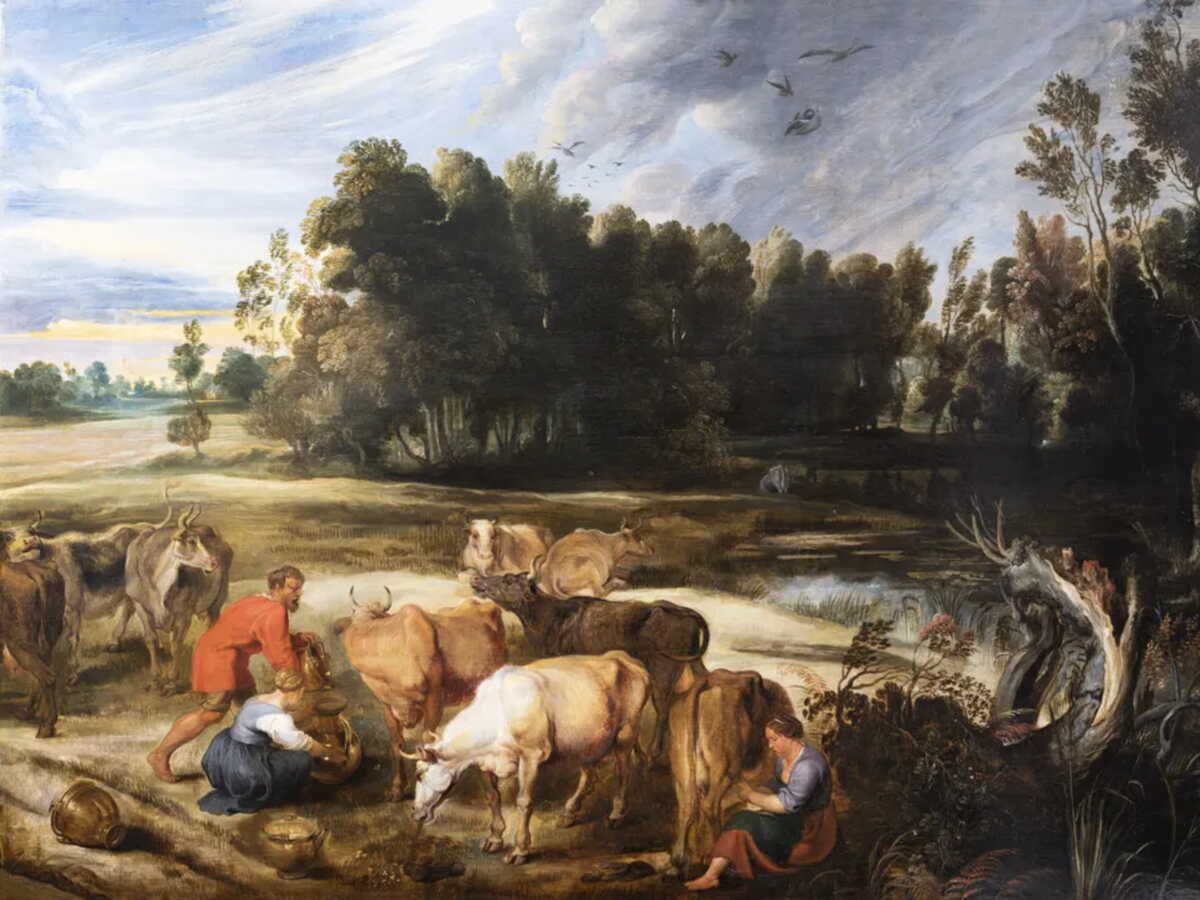 Un tableau de Rubens montrant une vache en train d’uriner au cœur d’un litige de restitution