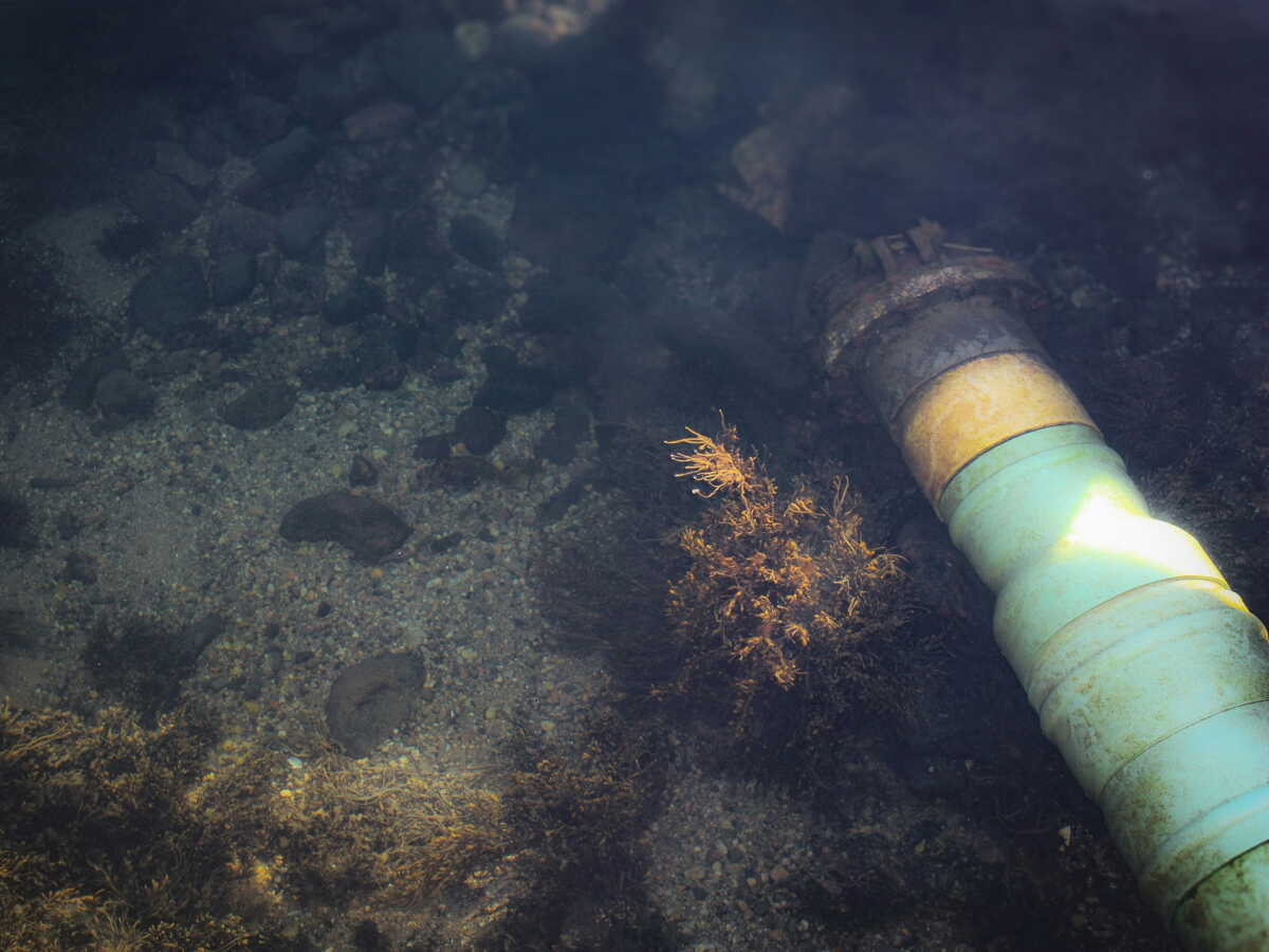 Cette batterie sous-marine est capable de s’autoalimenter grâce aux microbes