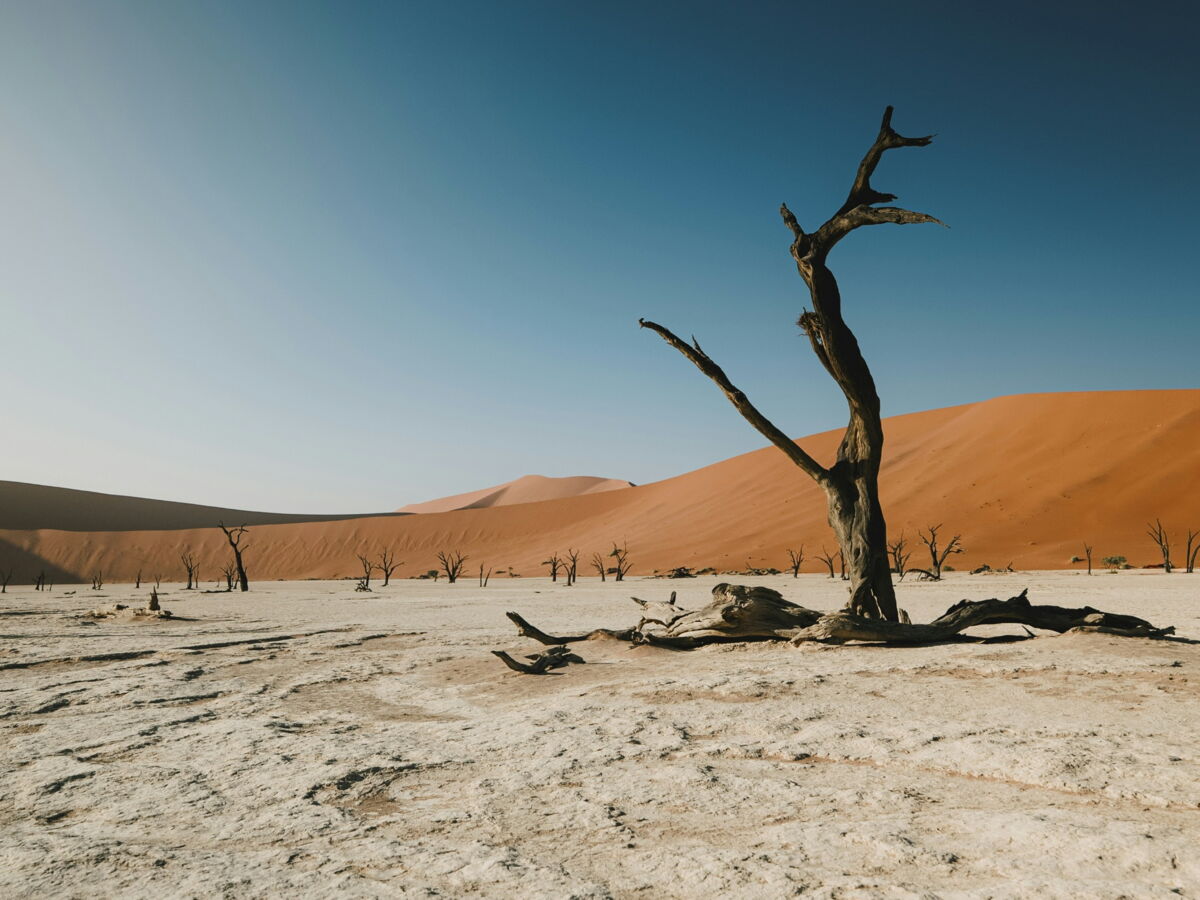 El Niño et d'autres phénomènes climatiques influencent bien la probabilité de conflits civils et de guerres