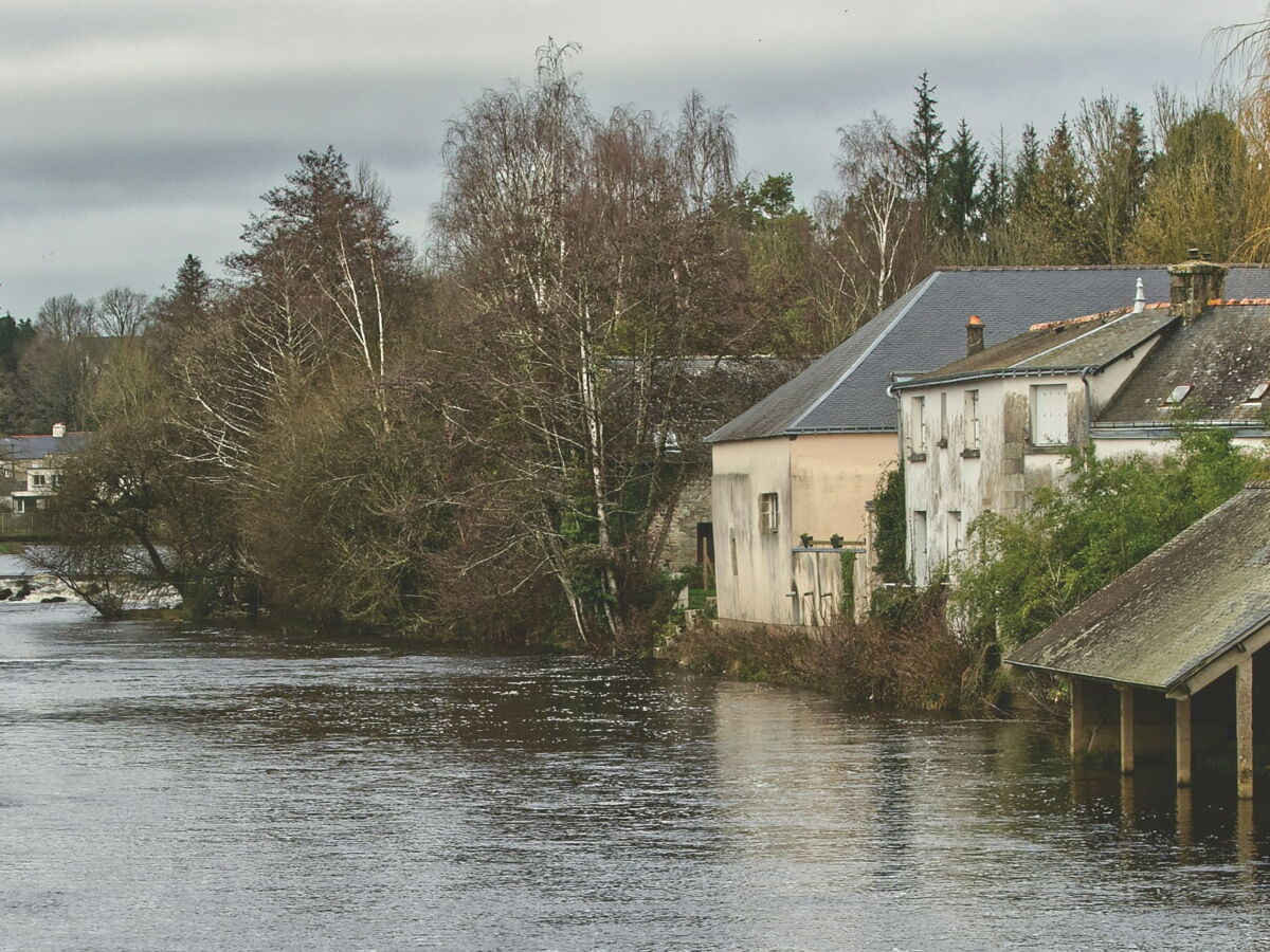 Réchauffement climatique: "l'adaptation est aujourd'hui au pied du mur"