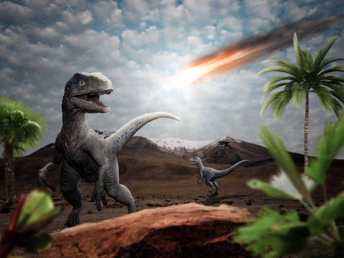 La météorite qui a provoqué la fin des dinosaures a aussi créé un refuge pour d'autres formes de vie