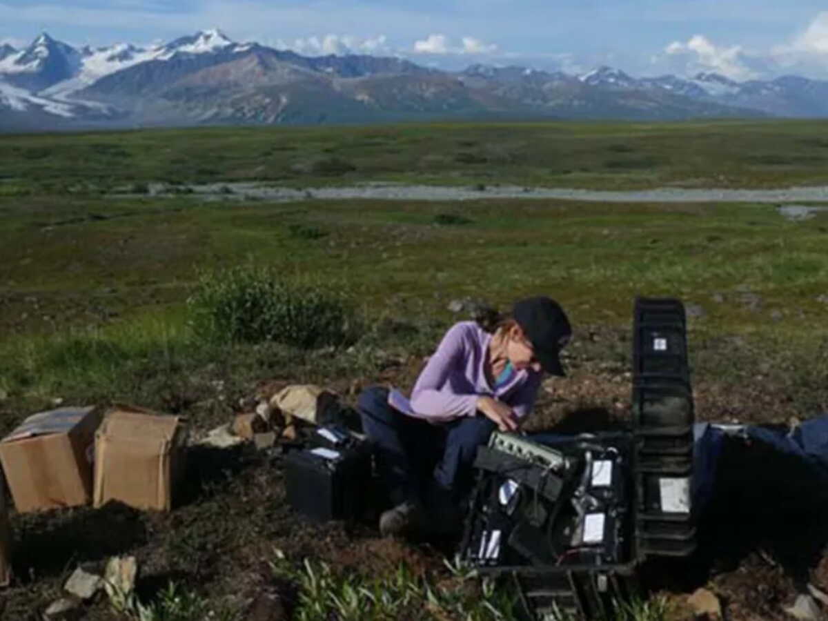 En Alaska, découverte d'une plaque tectonique à l'origine de plus de 3000 séismes