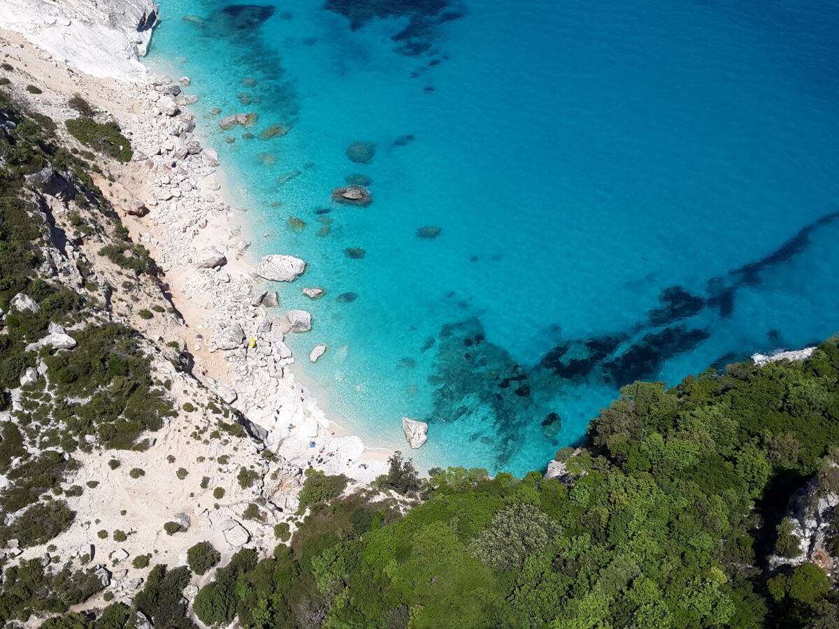 Quel est le secret de la Sardaigne, "zone bleue" où l'on vivrait plus vieux qu'ailleurs ?