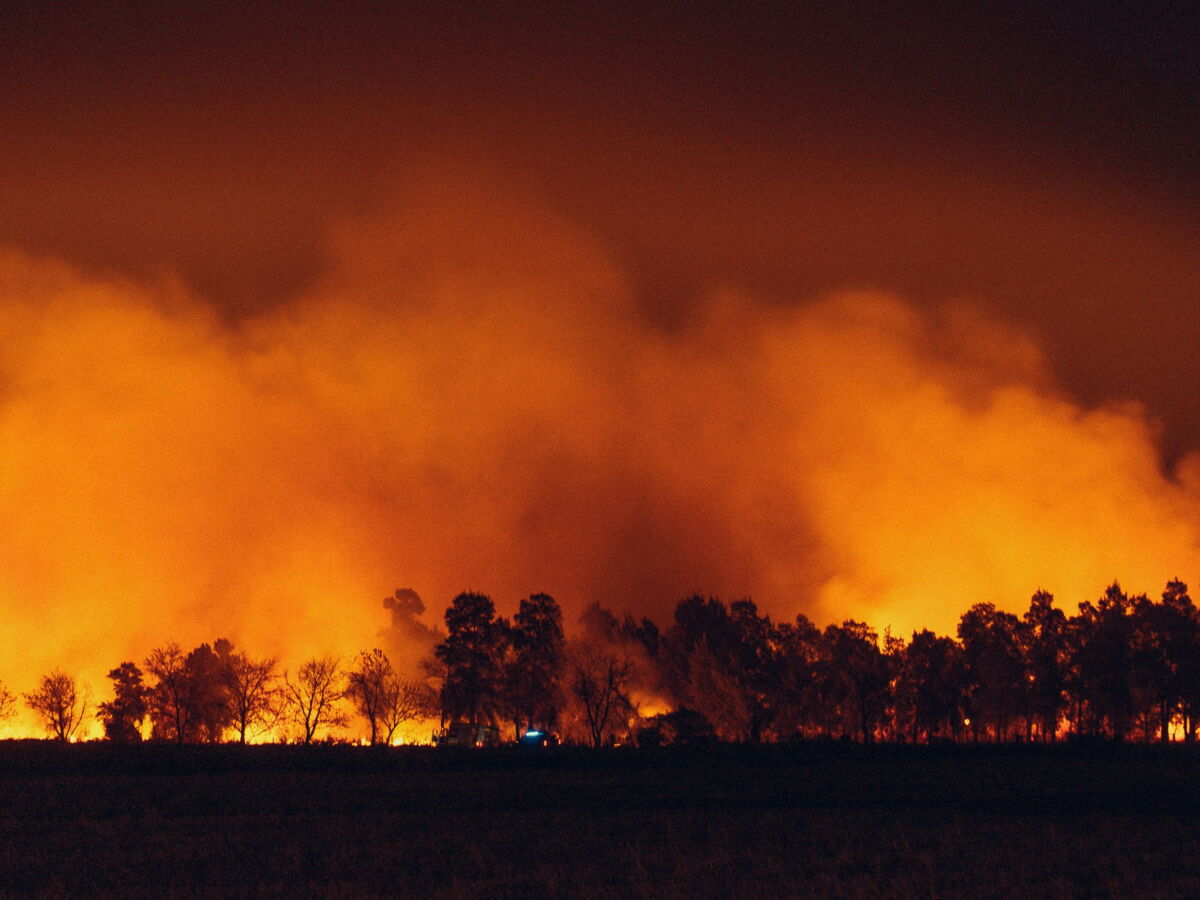 "Plus d’hectares brûlés que sur toute la saison 2025": un été déjà hors norme en Europe entre feux de forêt et canicule