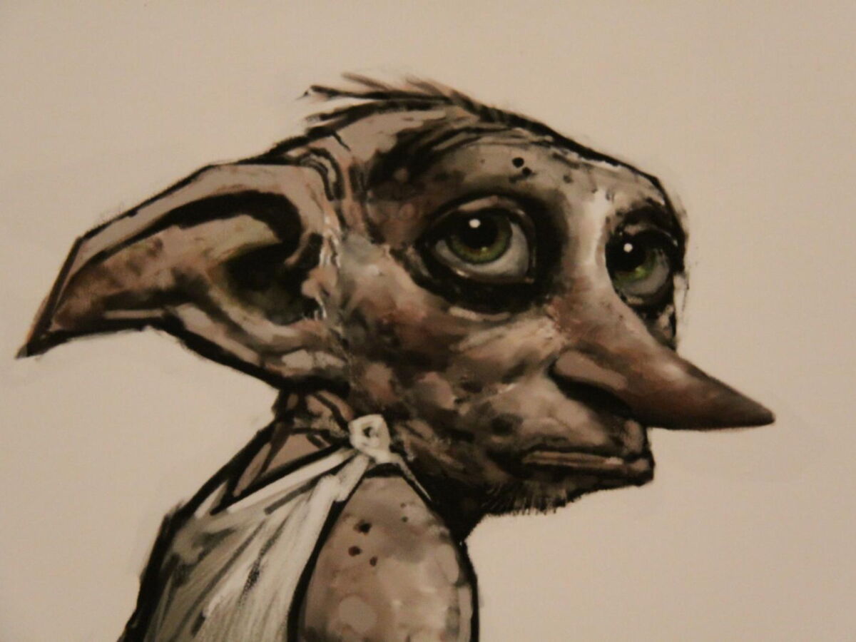 Pour éviter la tombe de Dobby, ce câble sous-marin à 500 millions d’euros a été déplacé