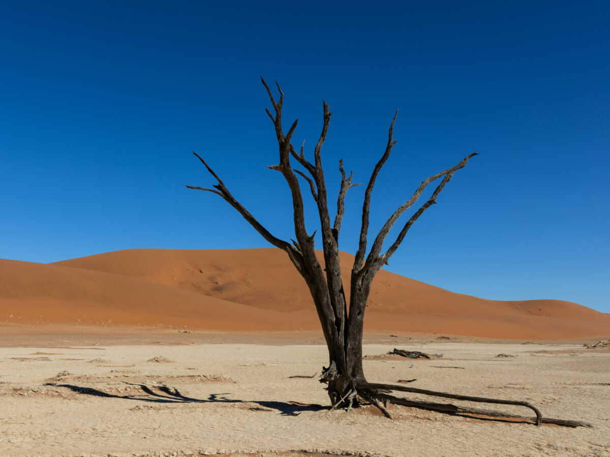 Des chercheurs ont identifié la "trace" du réchauffement climatique causé par l'Homme