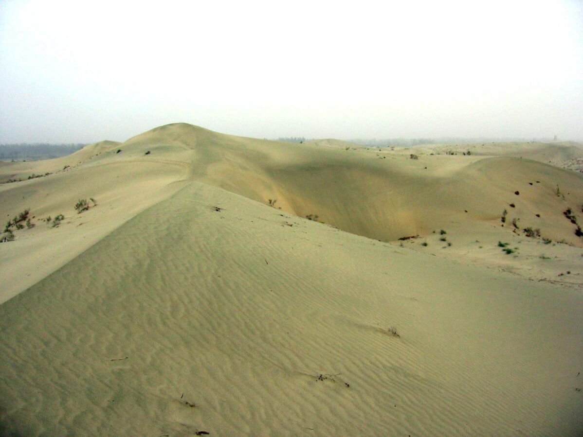 En Chine, un robot inspiré de "Dune" pourrait transformer le sable du désert en ressource de fer