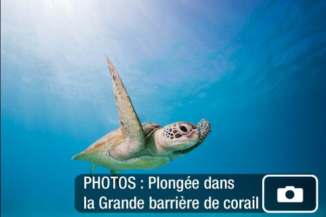 Australie Plongée Dans La Grande Barrière De Corail Geofr - 