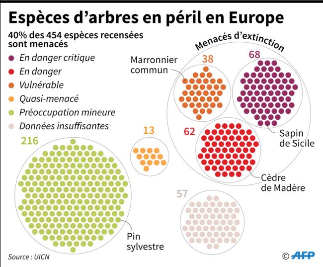 Liste Rouge Des Arbres En Europe Plus De 40 Des Espèces