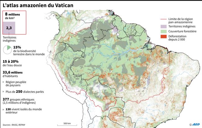 Incendies En Amazonie Le Pape Dénonce Des Intérêts