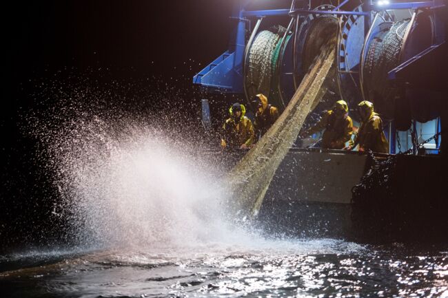 Captures Accidentelle De Dauphins: Les Dispositifs Acoustiques étendus ...