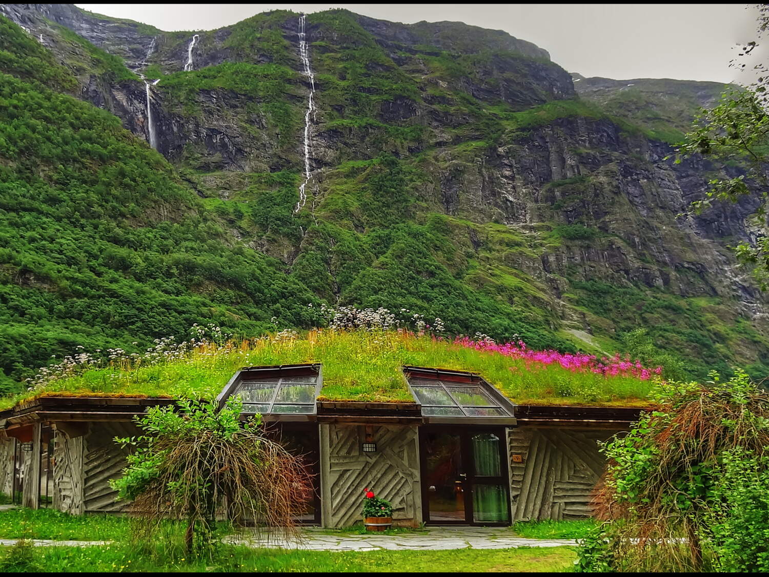 Quiz photo Maison verte Photo du jour Geo.fr