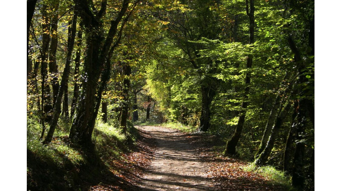 Chemin de terre dans le Lot, Chemin de terre dans le... - Geo.fr